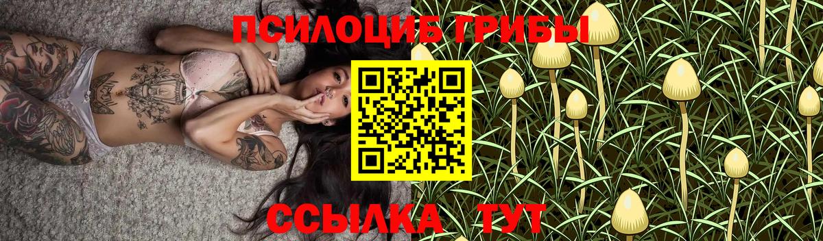 Галлюциногенные грибы Cubensis Волоколамск